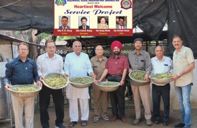 अलायंस क्लब जालंधर समर्पण ने गांयो को चारा खिलाया और घायल पशु पक्षियों के ईलाज  के लिए दिया अंशदान*