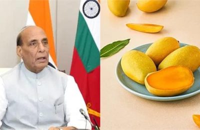 मार्केट में आया नया आम, डिफेंस मिनिस्टर के नाम पर रखा गया नाम