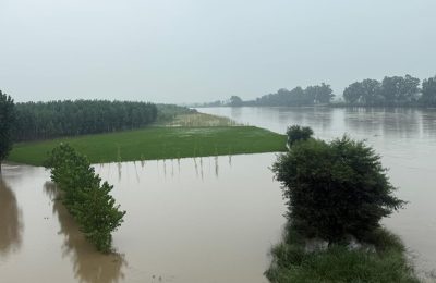लगातार पानी छोड़े जाने के कारण ब्यास दरिया  उफान पर, फसल को भारी नुकसान होने की आशंका
