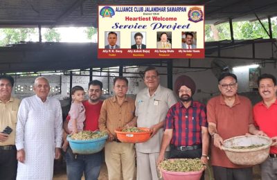 अलायंस क्लब जालंधर समर्पण ने घायल पशु पक्षियों के ईलाज के लिए  दिया अंशदान*