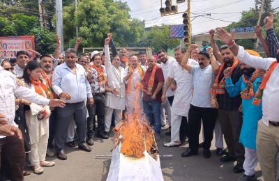 जालंधर भाजपा शहरी द्वारा चारों विधानसभा हल्कों में मान सरकार की धक्केशाही के ख़िलाफ़ प्रचंड पूतला फूंक प्रदर्शन*