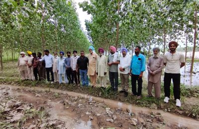 ਸਥਾਨਿਕ ਪਰਸ਼ਾਸ਼ਨ ਲੋਕਾਂ ਦੀ ਜਾਨ ਮਾਲ ਦੀ ਰਾਖੀ ਲਈ ਪੁਖ਼ਤਾ ਪ੍ਰਬੰਧ ਕਰੇ ਅਤੇ ਦਰਿਆ ਅੰਦਰ ਪਾਣੀ ਕਾਰਨ ਮਾਰੀਆਂ ਫਸਲਾਂ ਦਾ ਮੁਆਵਜ਼ਾ ਦੇਵੇ:- ਲ਼ੋਕ ਇਨਸਾਫ਼ ਮੰਚ*