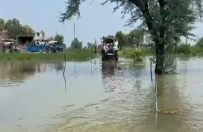 बढ़ने लगा खतरनाक बुखार लग गई ये पाबंदी