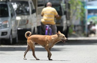 महिला ने हाई कोर्ट से मांगा 20 लाख रुपए का मुआवजा , जाने क्यों