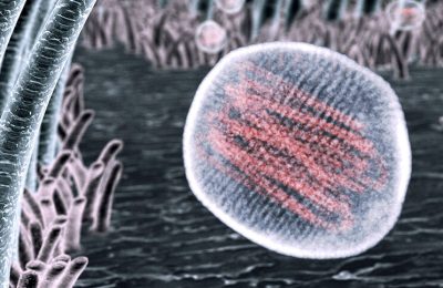 तेजी से फैल रहा वायरल इंफेक्शन