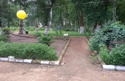 दादा कालोनी  park में  मच गया हड़कंप