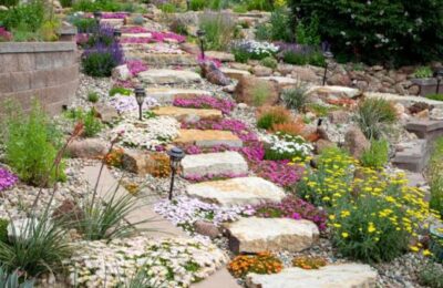 रॉक गार्डन मे टूरिस्ट के लिए फ्री एंट्री , जाने क्यों