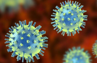 महिला और एक पुरुष  में घातक निपाह वायरस की पुष्टि , फैली अफरा तफरी