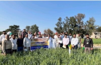 कृषि एवं किसान कल्याण मंत्रालय, भारत सरकार के तहत केंद्रीय एकीकृत नाशीजीव प्रबंधन केंद्र, जालंधर ने कृषि विज्ञान केंद्र, फाजिल्का – सीफेट, अबोहर के सहयोग से कृषि विज्ञान केंद्र अधिकारियों, कीटनाशक डीलरों और प्रगतिशील किसानों के लिए 23-02-2024 से 27-02-2024 तक 5 दिवसीय मानव संसाधन विकास कार्यक्रम का आयोजन किया