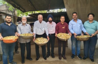 *अलायंस क्लब जालंधर समर्पण ने घायल पशु पक्षियों के लिए दिया अंशदान और गांयों को खिलाया चारा और गुड़