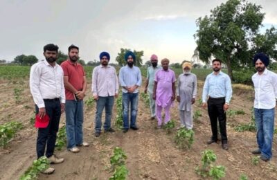 मानसा जिले में कपास फसल में कीट एवं रोगों की स्थिति का संयुक्त क्षेत्रीय सर्वेक्षण सम्पन्न