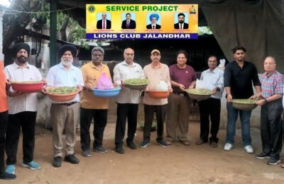 लायंस क्लब जालंधर ने गुरुपुर्णिमा पर PFA गौशाला,पुलिस लाइन में गुड़, चारा डाला,बीमार पशुओं के इलाज के लिए दिया अंशदान*