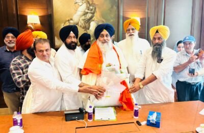 ਸੁਖਬੀਰ ਸਿੰਘ ਬਾਦਲ ਨਾਲ ਸੁਖਮਿੰਦਰ ਸਿੰਘ ਰਾਜਪਾਲ ਦੀ ਮੁਲਾਕਾਤ, ਜਲੰਧਰ ਦੇ ਹਾਲਾਤਾਂ ਸਮੇਤ ਪਾਰਟੀ ਦੀ ਮਜ਼ਬੂਤੀ ਲਈ ਵਿਸਤਾਰਪੂਰਵਕ ਵਿਚਾਰ-ਵਟਾਂਦਰਾ