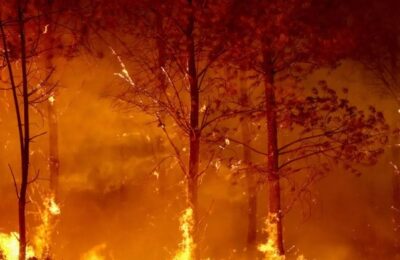 फ्रांस और स्पेन के जंगलों में भीषण आग से तबाही