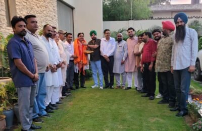 प्रदेश उपाध्यक्ष बनने पर राकेश राठौर का केंद्रीय विधानसभा क्षेत्र के भाजपा पदाधिकारियों ने किया भव्य सम्मान*